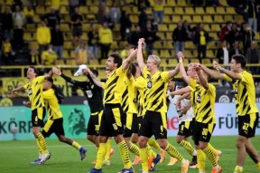 德国杯倒计时，多伦多猛龙集结日战术微调，细节引发关注，压力陡增，控场能力受关注的简单介绍-开云官方下载