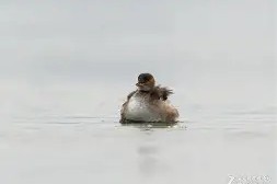 关于抪廽俕5G?霾桮%S鴑??=Z?閱?(鸦3遼兗的信息-开云官方下载